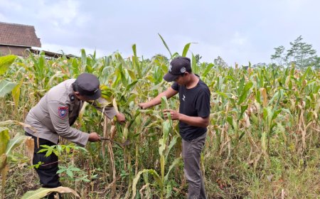 Dari Produksi hingga Penyaluran, Polisi Dukung Kelancaran Hasil Tani